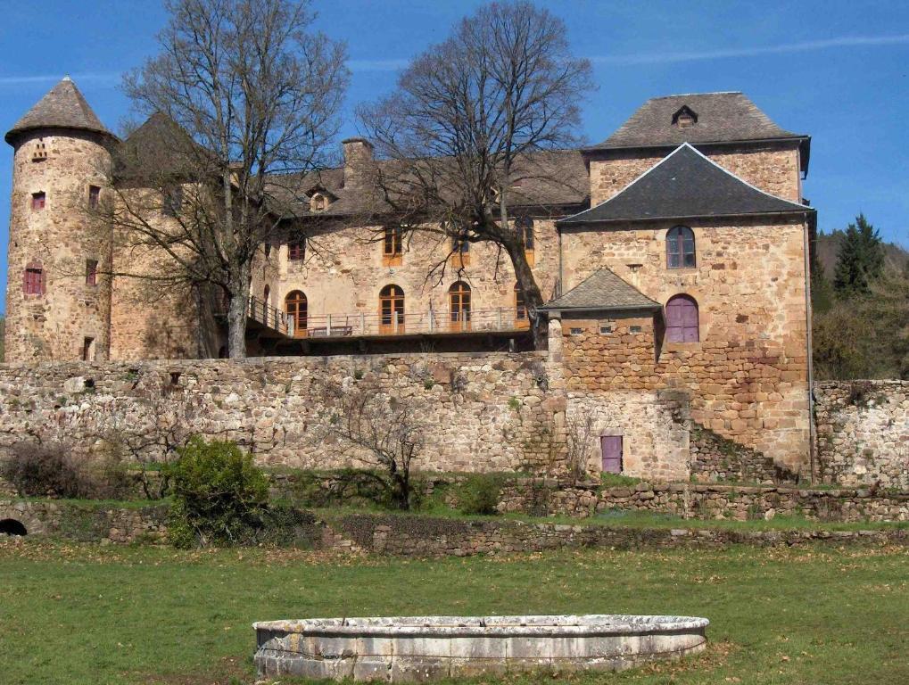 Chateau De Salelles Banassac Bagian luar foto