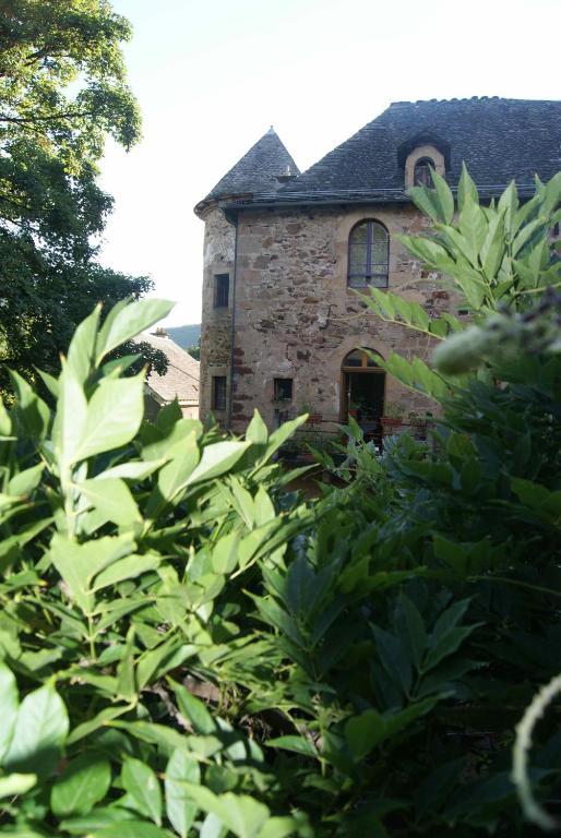 Chateau De Salelles Banassac Bagian luar foto